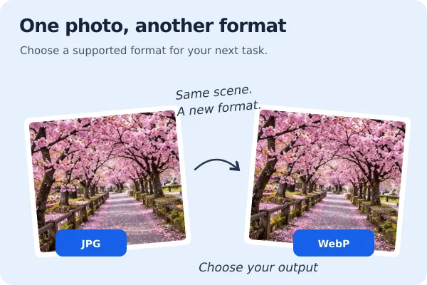 PNG to JPG for Smaller Web Uploads