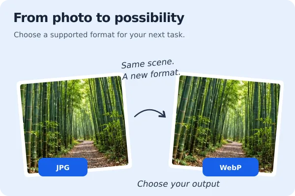Convert HEIC and WebP for Universal Compatibility featured image