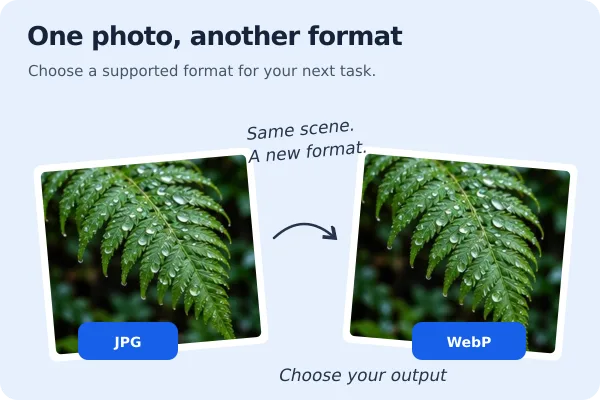 Convert HEIC to JPG Without Losing Quality: Complete Guide featured image
