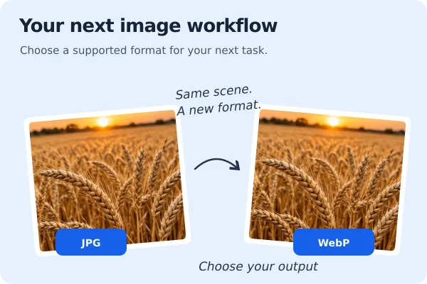 Fix Transparent Background Turned Black When Saving featured image